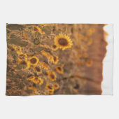 Sonnenblumensonne in ländlicher Feldfarbe Geschirrtuch (Horizontal)
