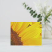Sonnenblumensonne Postkarte (Stehend Vorderseite)