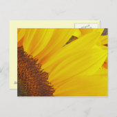 Sonnenblumensonne Postkarte (Vorne/Hinten)