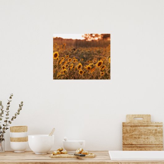 Sonnenblumensonnenschirm in ländlicher Feldfarbe 1 Poster (Küche)