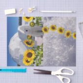 Sonnenblumenspeckpapier Seidenpapier (Handwerk)