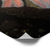 Sonnenblumenstern - Kunstdrucken Poster (Ecke)