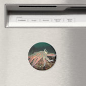 Sonnenblumenstern - Magnet (In Situ (Geschirrspüler))