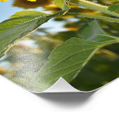 Sonnenblumenstil Fotodruck (Ecke)