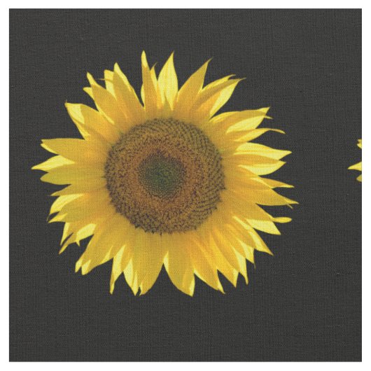 Sonnenblumenstoff Stoff (Nahaufnahme)