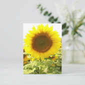 Sonnenblumenstrahlen Postkarte (Stehend Vorderseite)