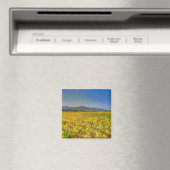 Sonnenblumenstrände Magnet (In Situ (Geschirrspüler))