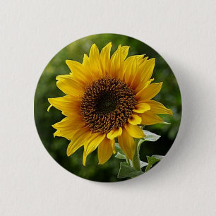 Sonnenblumentaste Button