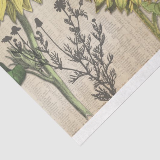 Sonnenblumenträume Dekoupage Tissue Paper Seidenpapier (Ausschnitt)