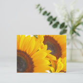 Sonnenblumentriplettes Postkarte (Stehend Vorderseite)