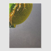 Sonnenblumenüberlagerung Pergament Einladungen (Vorderseite)