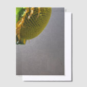 Sonnenblumenüberlagerung Pergament Einladungen (Versetzt)