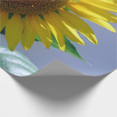 Sonnenblumenüberzugspapier Geschenkpapier (Ecke)