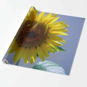 Sonnenblumenüberzugspapier Geschenkpapier
