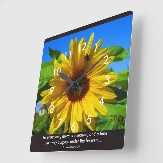 Sonnenblumenverse Quadratische Wanduhr (Winkel)