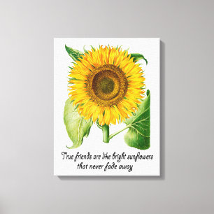 Sonnenblumenwall Art Canvas Print Blume Friend Ges Leinwanddruck