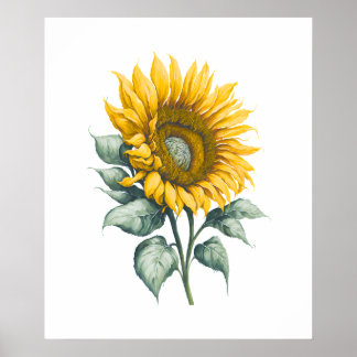 Sonnenblumenwasser Poster