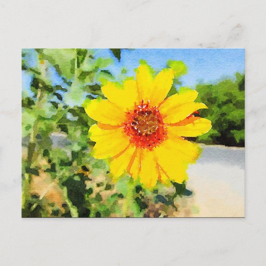 Sonnenblumenwasser Postkarte (Vorderseite)
