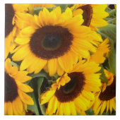 Sonnenblumenzange Fliese (Vorderseite)