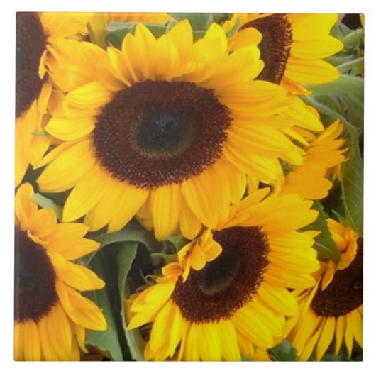 Sonnenblumenzange Fliese (Vorderseite)