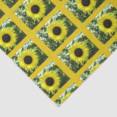 Sonnenblumenzapier Seidenpapier (Ausschnitt)