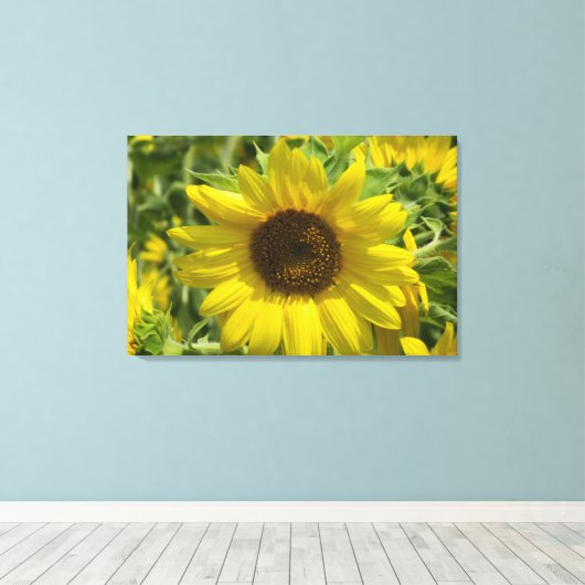 Sonnenblumenzauber (WestCreek), gezackte Canvas Pr Leinwanddruck (Insitu (Holzboden))