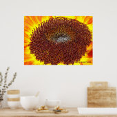 Sonnenblumenzentrum Poster (Küche)