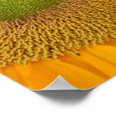 Sonnenblumenzentrum und Petals Nah Poster (Ecke)