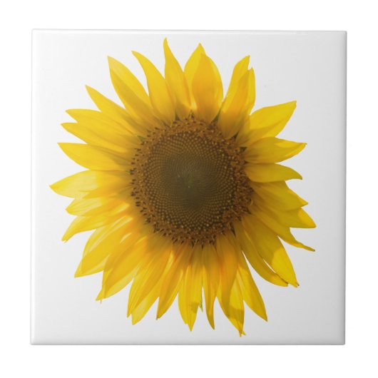 Sonnenblumenziffer "Blume sind glücklich" Fliese (Vorderseite)