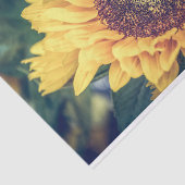 Sonnenblumenzwirn Seidenpapier (Ausschnitt)