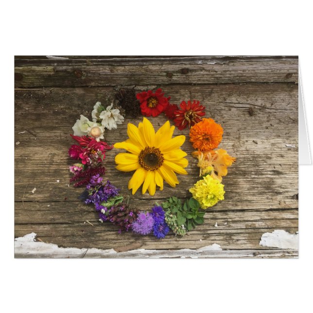 Sonnenblumeregenbogenkarte (Vorderseite (Horizontal))