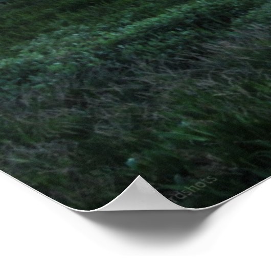 Sonnenboot Poster (Ecke)