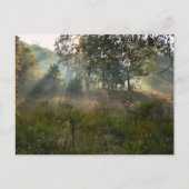 Sonnenbrand 07 postkarte (Vorderseite)