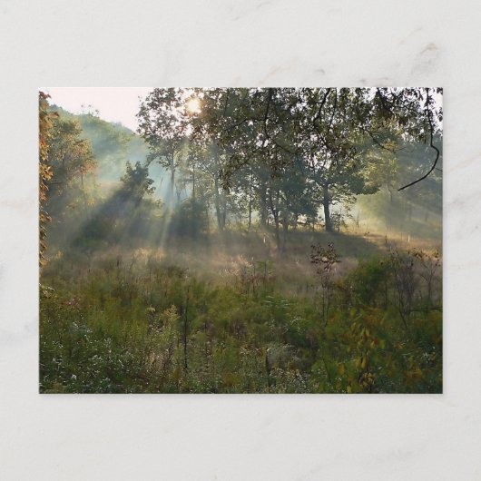 Sonnenbrand 07 postkarte (Vorderseite)