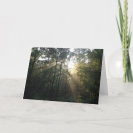 Sonnenbrand in der Trees Jedem Anlass Card (Blank) Feiertagskarte
