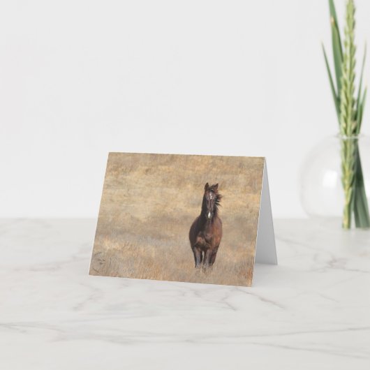 Sonnenbrand Karte (Vorderseite)