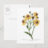 Sonnenbraut Postkarte (Vorne/Hinten)