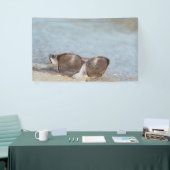 Sonnenbrille am Strand Banner (Messeveranstaltung)