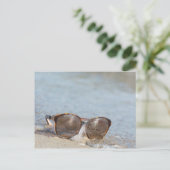 Sonnenbrille am Strand Postkarte (Stehend Vorderseite)