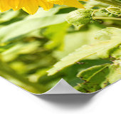 Sonnenbrille auf Sonnenblumen Poster (Ecke)