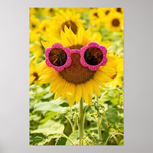 Sonnenbrille auf Sonnenblumen Poster (Vorne)