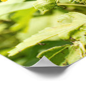 Sonnenbrille auf Sonnenblumen Poster (Ecke)