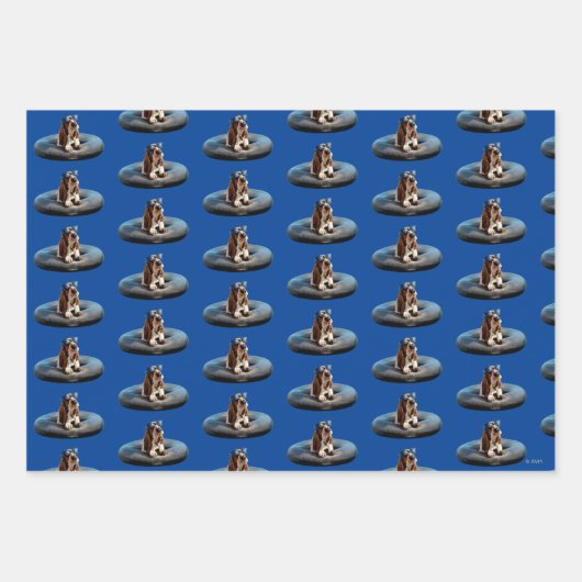 Sonnenbrille Geschenkpapier Set (Vorderseite 2)