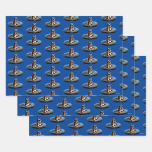 Sonnenbrille Geschenkpapier Set