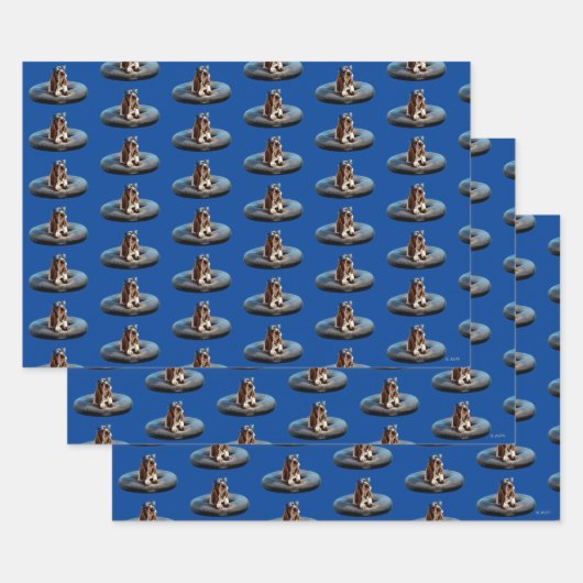 Sonnenbrille Geschenkpapier Set (Set)