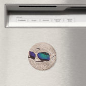 Sonnenbrille Magnet (In Situ (Geschirrspüler))