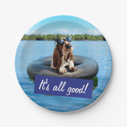 Sonnenbrille Pappteller (Vorderseite)