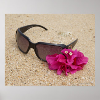 Sonnenbrille und Bougainvillia-Blume auf Korallen Poster