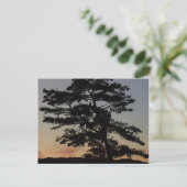 Sonnencreme Postkarte (Stehend Vorderseite)
