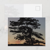 Sonnencreme Postkarte (Vorne/Hinten)